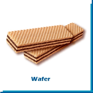 wafer